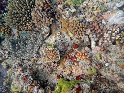 Image 15
