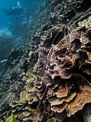 Image 13