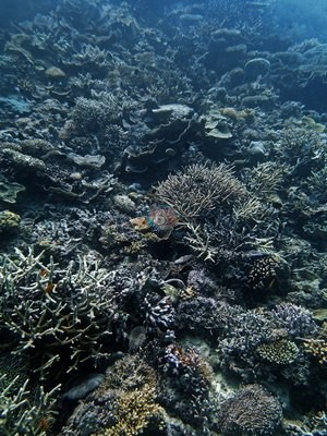 Image 23