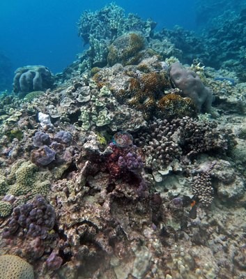 Image 10