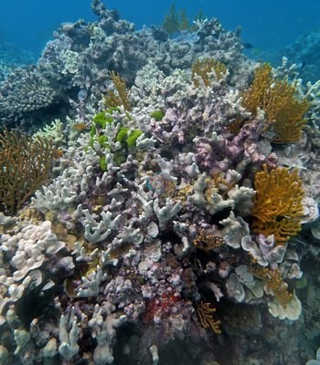 Image 13