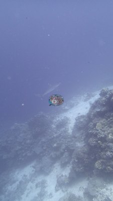 Image 24