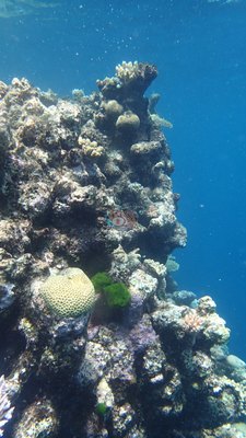 Image 34