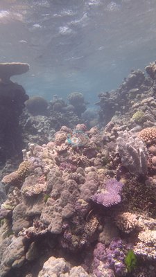 Image 38