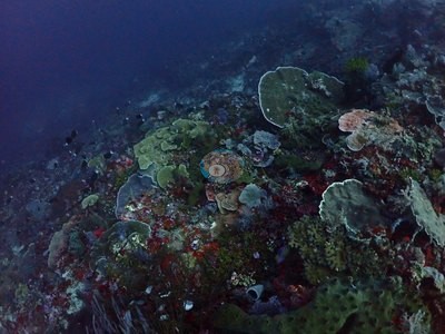 Image 14