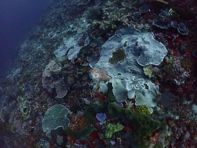 Image 9