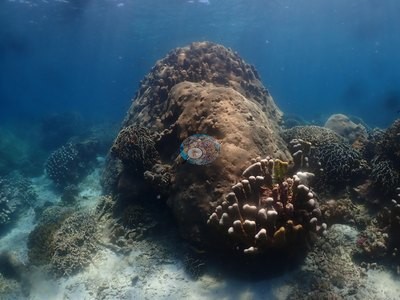 Image 12