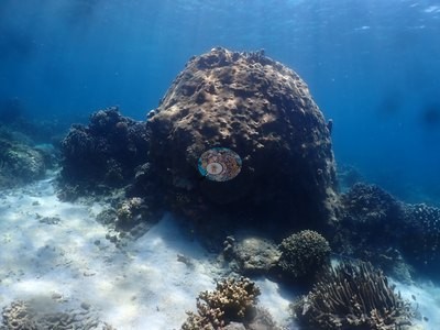 Image 38