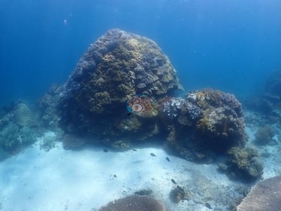 Image 10