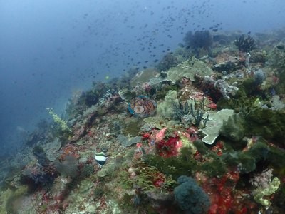 Image 38