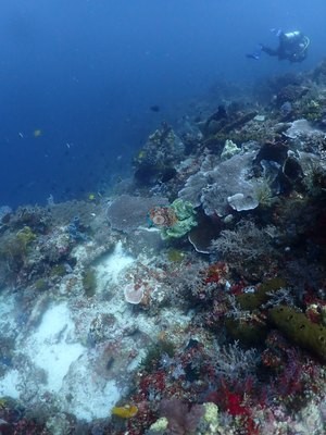 Image 52