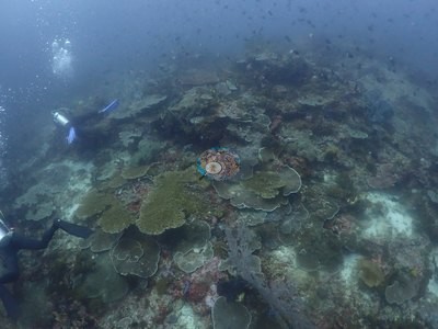 Image 8