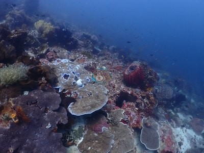 Image 13