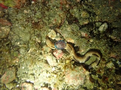 Image 22