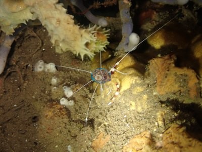 Image 10