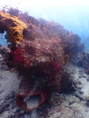 Image 15