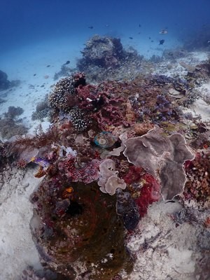Image 6