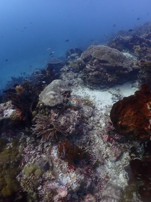 Image 32