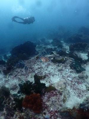 Image 53