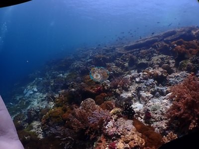 Image 10