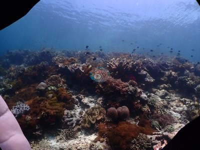 Image 13