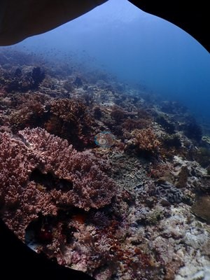 Image 47