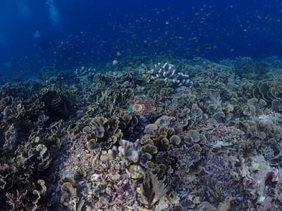 Image 13