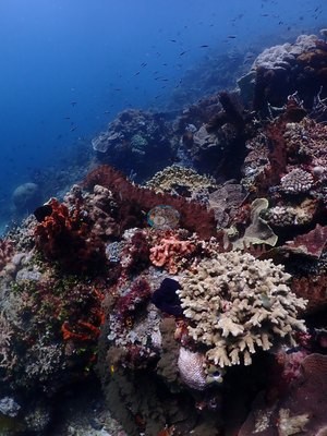 Image 35