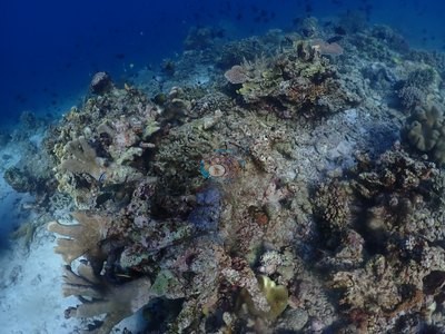 Image 10