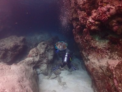 Image 18