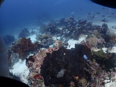 Image 12