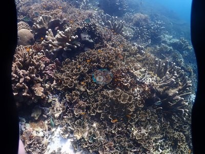 Image 38