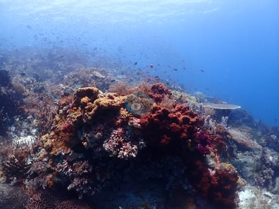 Image 11