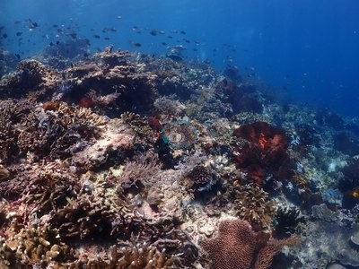 Image 21