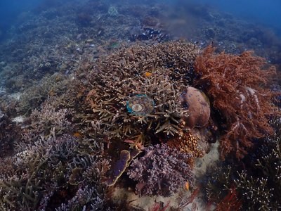 Image 11