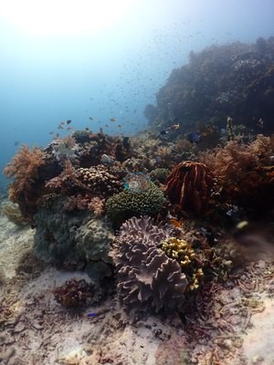 Image 13
