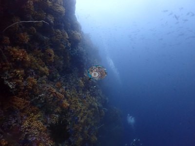 Image 11
