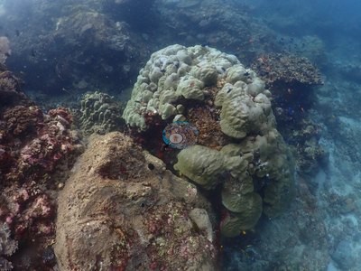 Image 18