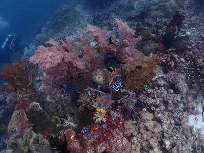 Image 53