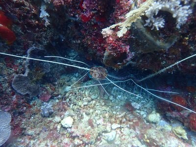 Image 10