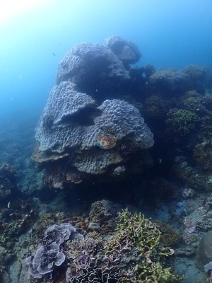 Image 38