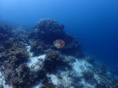 Image 37