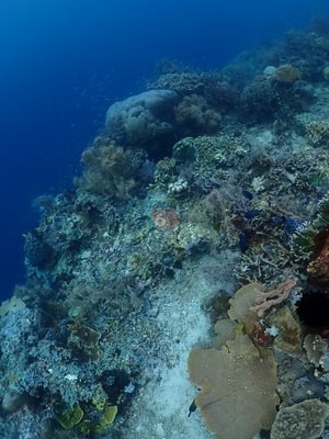 Image 37