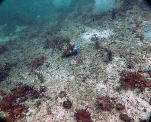 Image 8