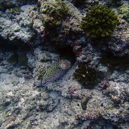 Image 6