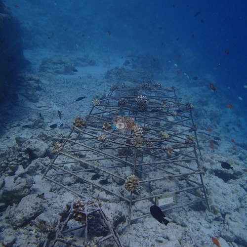 Image 12