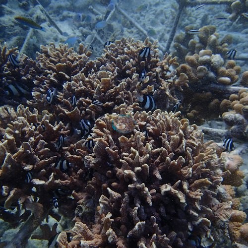 Image 14
