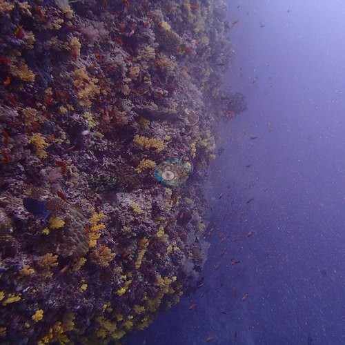 Image 22