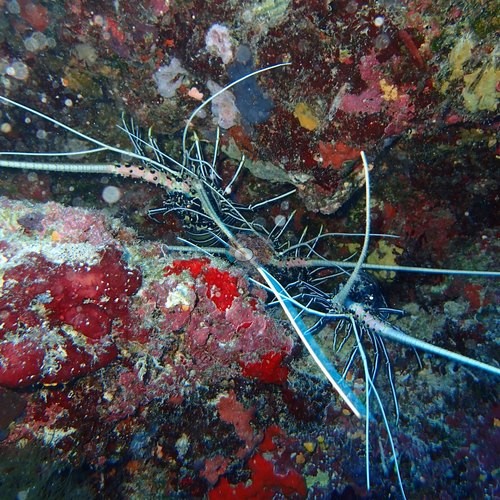Image 6