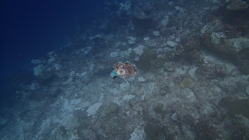 Image 13
